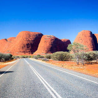 The Gut Man Northern Territory Tour - Probiotic Foods