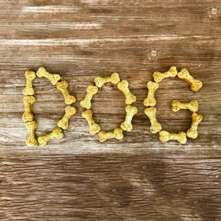 healthy dog treats