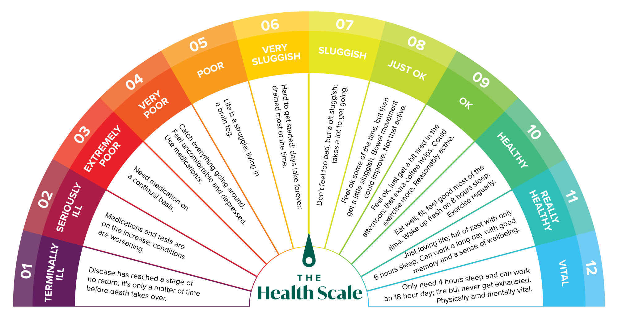 Health Scale - Probiotic Foods